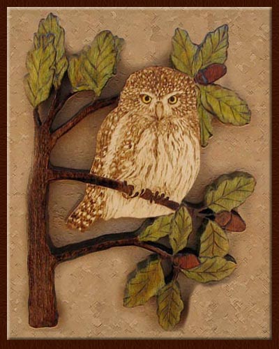 glaucidium californicum tanja sova pyrography